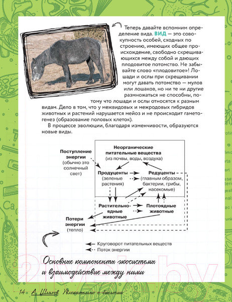 Изображение товара Энциклопедия АСТ Увлекательно о биологии: в иллюстрациях (Шляхов А.Л.)