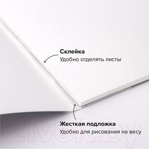 Изображение товара Альбом для рисования Brauberg Art Premiere / 113223