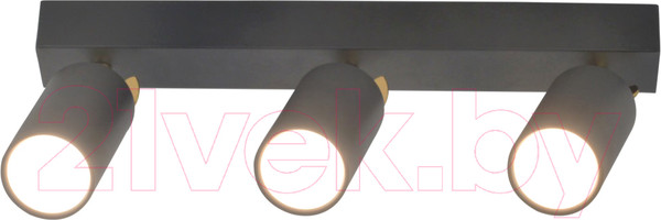 Изображение товара Спот Mirastyle SX-20644-3 BK+YB