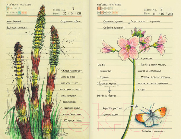 Изображение товара Энциклопедия АСТ Секреты родной природы. Дневник маленьких открытий (Браун Д.)