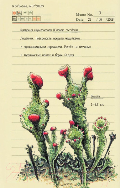 Изображение товара Энциклопедия АСТ Секреты родной природы. Дневник маленьких открытий (Браун Д.)