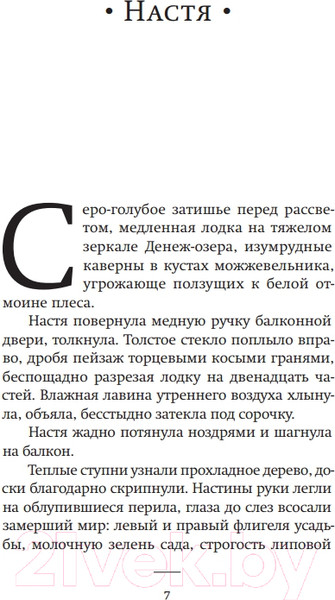 Изображение товара Книга АСТ Пир (Сорокин В.Г.)