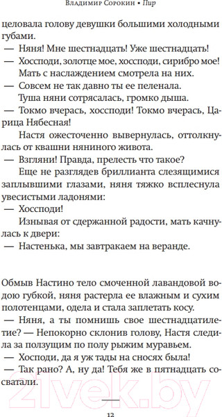 Изображение товара Книга АСТ Пир (Сорокин В.Г.)