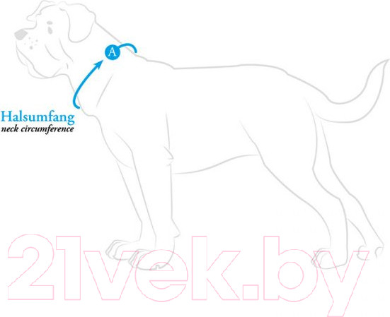 Изображение товара Ошейник HUNTER Collar Divo Reflect 68966 (45-55/L черный/серый)