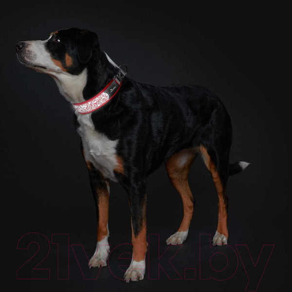 Изображение товара Ошейник HUNTER Collar Divo Reflect 68976 (45-55/L красный/серый)