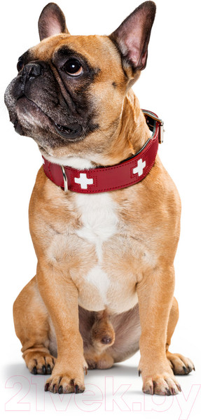 Изображение товара Ошейник HUNTER Collar Swiss 41867 (55/M, красный/черный)