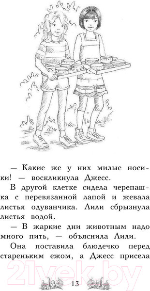 Изображение товара Книга Эксмо Котенок Амелия, или Колокольчик-невидимка (Медоус Д.)