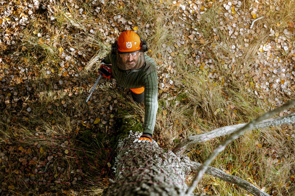 Изображение товара Бензопила цепная Husqvarna 450 II 15" 0.325 1.3 64DL (970 55 93-35)