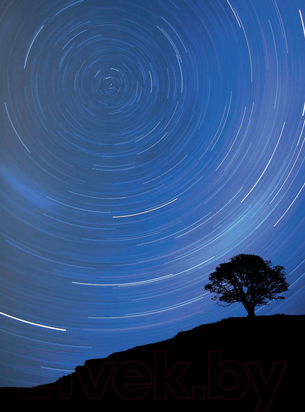 Изображение товара Энциклопедия АСТ Вселенная. Лучший иллюстрированный гид (Абрамова О.В.)