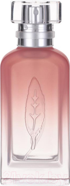 Изображение товара Туалетная вода Miniso Black Tea Glamour / 4568 (30мл)