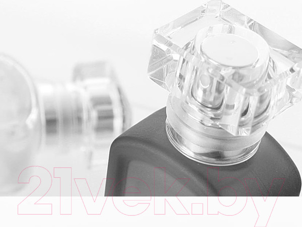 Изображение товара Туалетная вода Miniso Black Tea Glamour / 4568 (30мл)