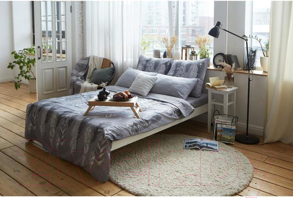 Изображение товара Комплект постельного белья Этель Перья / 5418217