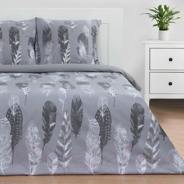 Изображение товара Комплект постельного белья Этель Перья / 5418217