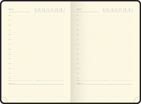 Изображение товара Ежедневник Berlingo Radiance / UD0_93502 (136л, розовый/голубой)