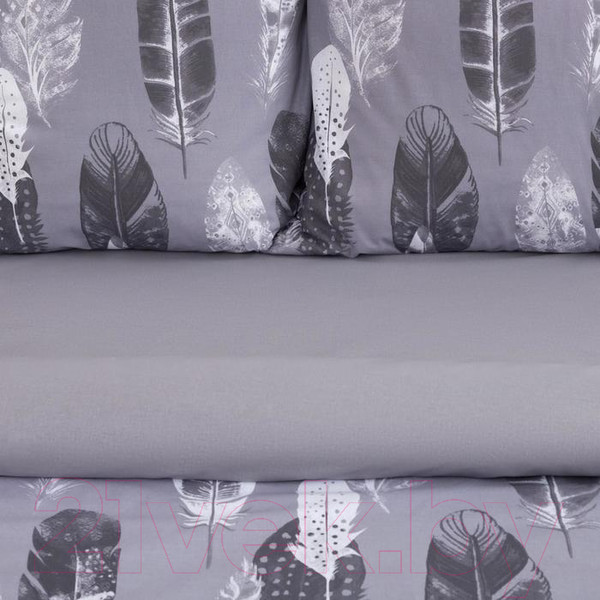 Изображение товара Комплект постельного белья Этель Перья / 5418219