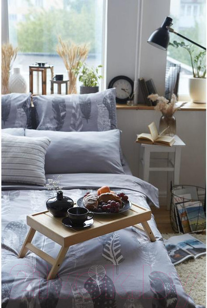 Изображение товара Комплект постельного белья Этель Перья / 5418219