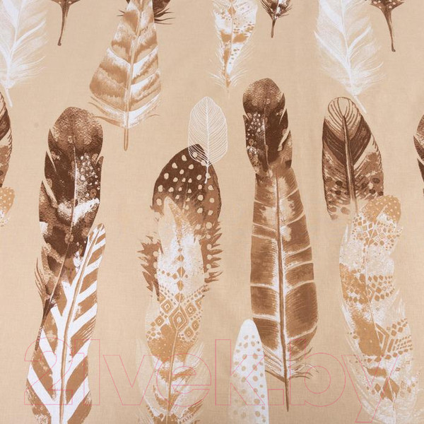 Изображение товара Комплект постельного белья Этель Перья вид 1 / 5418215