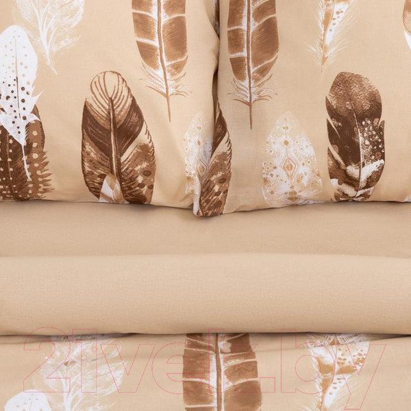 Изображение товара Комплект постельного белья Этель Перья вид 1 / 5418215