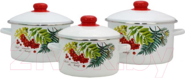 Изображение товара Набор кастрюль Эмаль Рябинка 2-3205/4