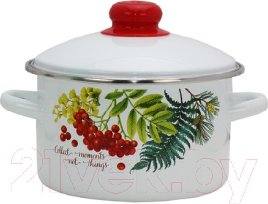 Изображение товара Набор кастрюль Эмаль Рябинка 2-3205/4