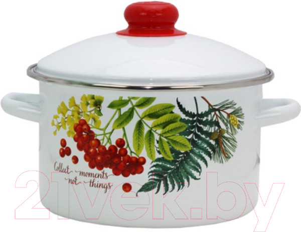 Изображение товара Набор кастрюль Эмаль Рябинка 2-3205/4