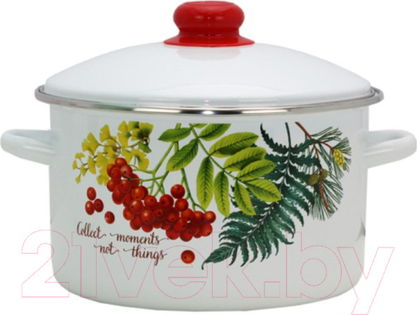 Изображение товара Набор кастрюль Эмаль Рябинка 2-3205/4