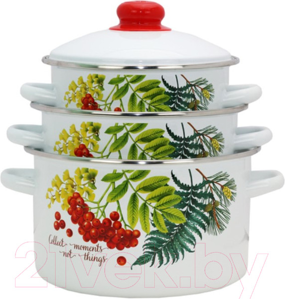 Изображение товара Набор кастрюль Эмаль Рябинка 2-3205/4