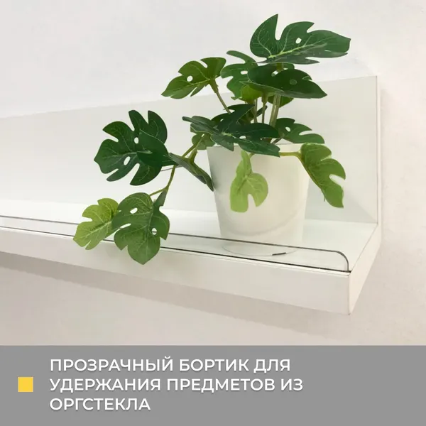 Изображение товара Полка Элана Анрат ПН 2.48 (белый)