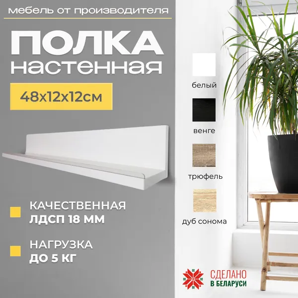 Изображение товара Полка Элана Анрат ПН 2.48 (белый)