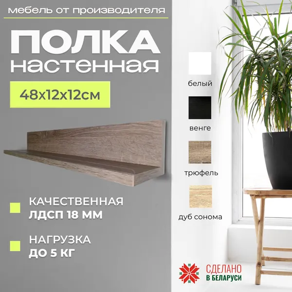 Изображение товара Полка Элана Анрат ПН 2.48 (дуб трюфель)