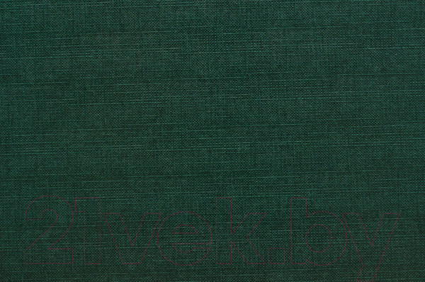 Изображение товара Набор каналов для переплета OPUS Classic 217x24мм / OCH2421710ZIE (10шт, зеленый)