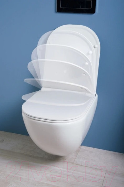 Изображение товара Унитаз подвесной Laufen Basal Combipack 866E100000001