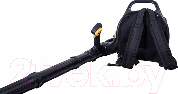 Изображение товара Воздуходувка бензиновая Champion GBR333