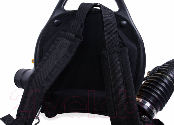 Изображение товара Воздуходувка бензиновая Champion GBR333