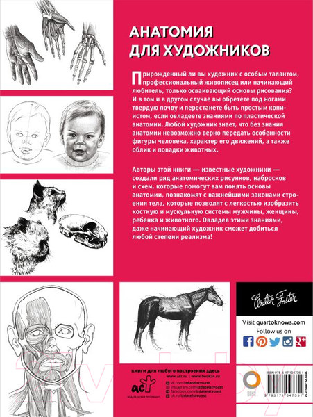 Изображение товара Нехудожественная книга АСТ Анатомия для художников