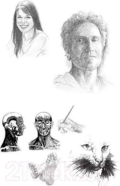 Изображение товара Нехудожественная книга АСТ Анатомия для художников