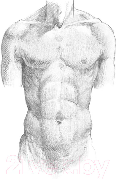 Изображение товара Нехудожественная книга АСТ Анатомия для художников