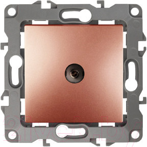 Изображение товара Розетка ЭРА 12-3101-14 / Б0019341 (медь)