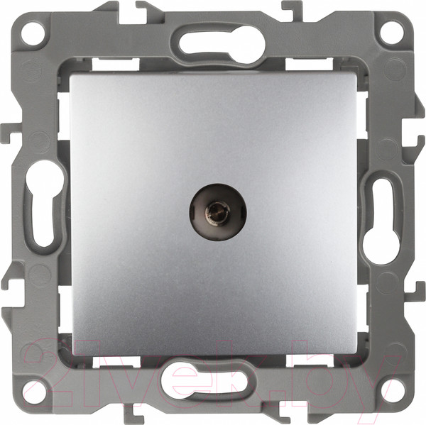 Изображение товара Розетка ЭРА 12-3102-03 / Б0027433 (алюминий)