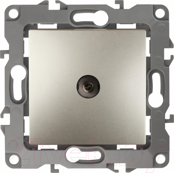 Изображение товара Розетка ЭРА 12-3102-04 / Б0027434 (шампань)