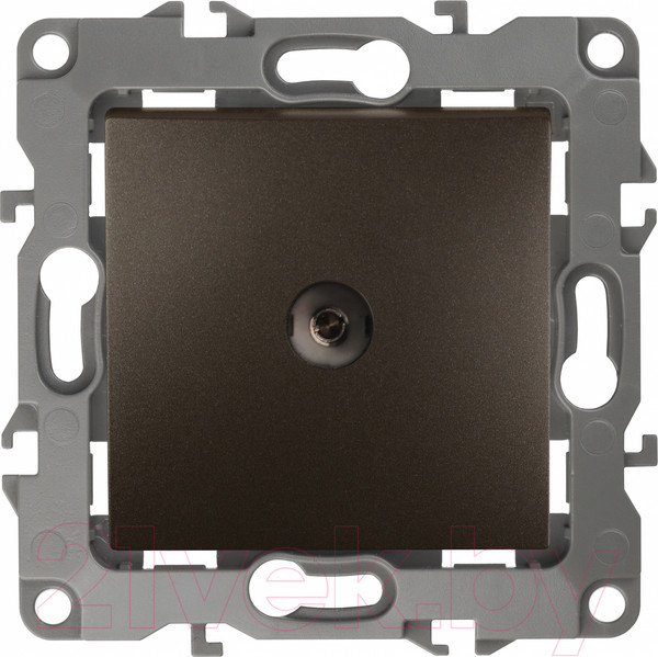 Изображение товара Розетка ЭРА 12-3102-13 / Б0027438 (бронза)