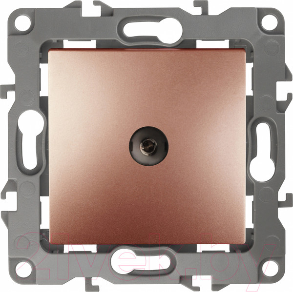 Изображение товара Розетка ЭРА 12-3102-14 / Б0027439 (медь)