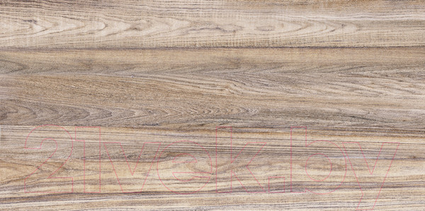 Изображение товара Плитка Alma Ceramica Dublin TWU09DBL404 (249x500)