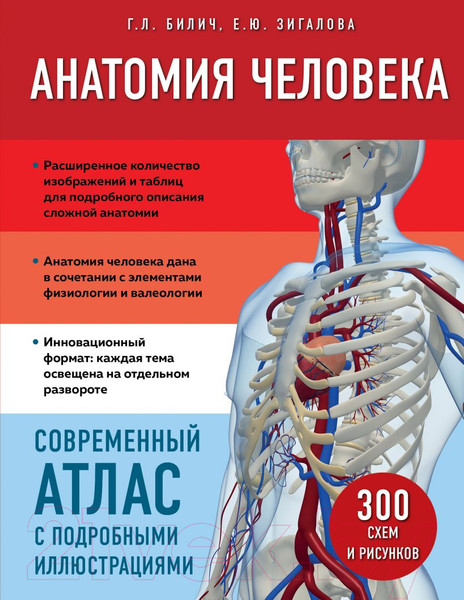 Изображение товара Книга Эксмо Анатомия человека. Современный атлас (Билич Г.Л., Зигалова Е.Ю.)