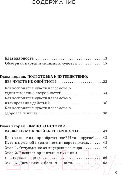 Изображение товара Книга Эксмо Мужская душа. Психологический путеводитель (Бьорн З.)