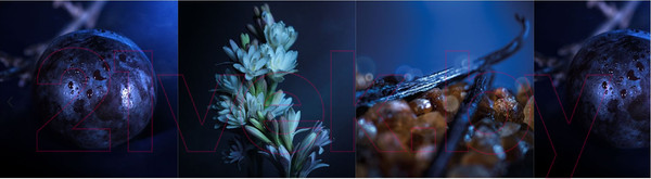 Изображение товара Парфюмерная вода Bvlgari Splendida Tubereuse Mystique (100мл)