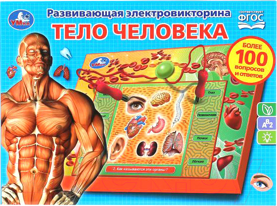 Изображение товара Развивающая игра Умка Электровикторина. Тело человека / HT522-R
