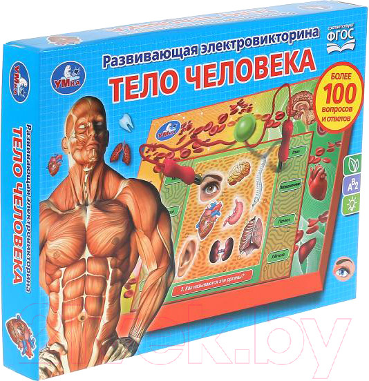 Изображение товара Развивающая игра Умка Электровикторина. Тело человека / HT522-R