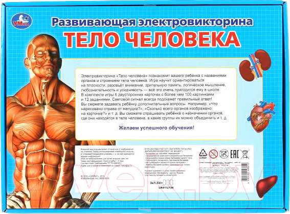 Изображение товара Развивающая игра Умка Электровикторина. Тело человека / HT522-R