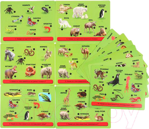 Изображение товара Развивающая игра Умка Электровикторина. С ручкой / HT888-R (48)